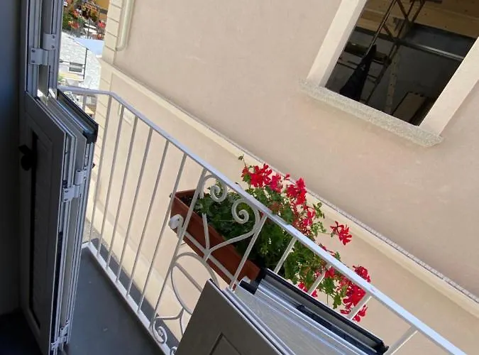 The World 度假居 特罗佩阿